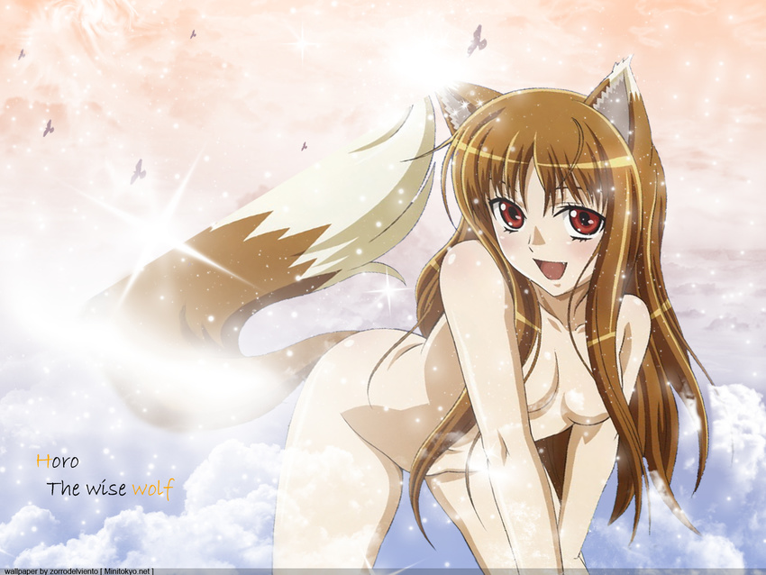 animal animal_ears bird cleavage clouds horo nude red_eyes sky spice_and_wolf tail