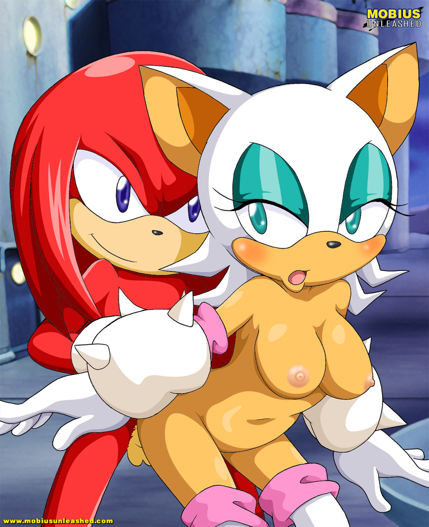 breasts chubby female from_behind knuckles_the_echidna male mobian mobius_unleashed penis rouge_the_bat sonic_(series)