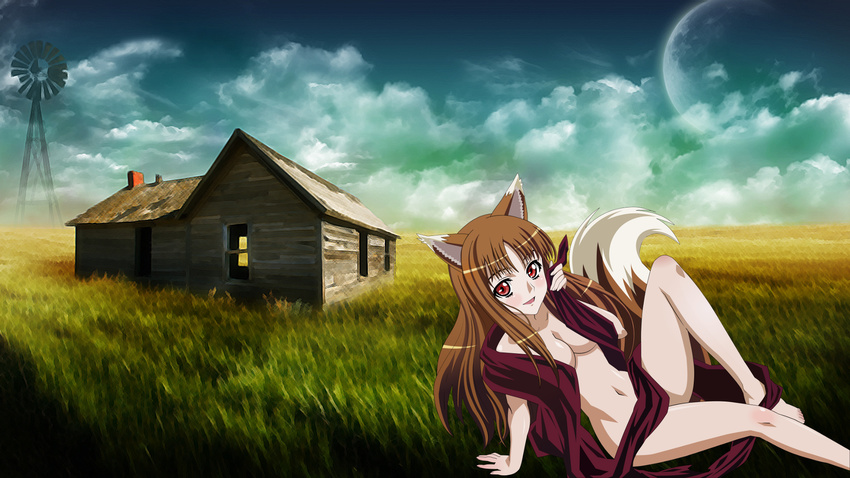 animal_ears brown_hair cleavage clouds horo moon red_eyes spice_and_wolf tail