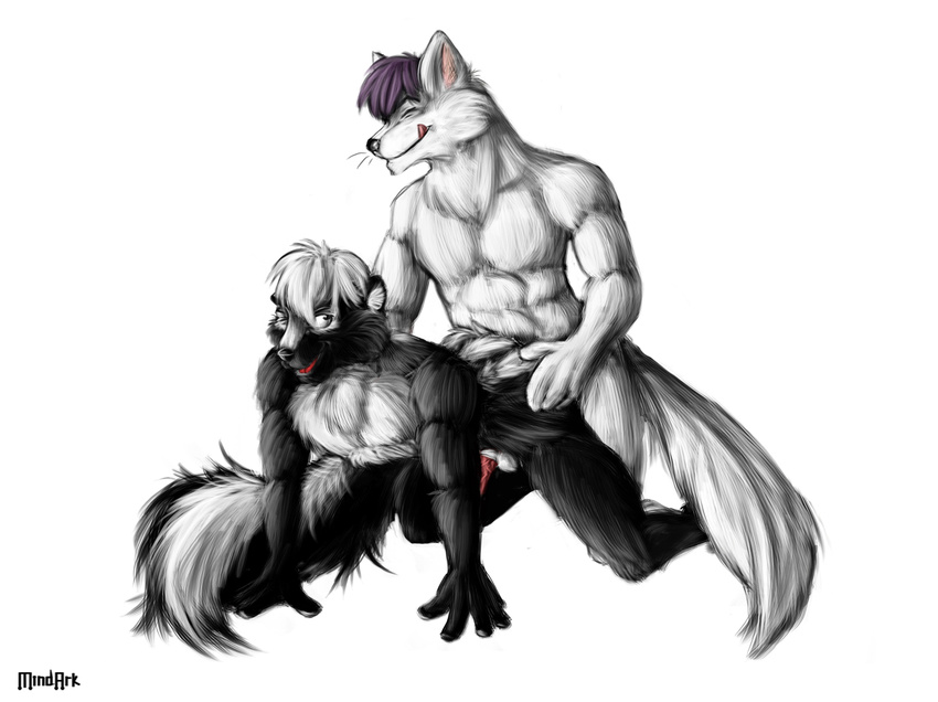 anal anal_penetration arctic_fox doggy_position gay male mindark penetration penis skunk