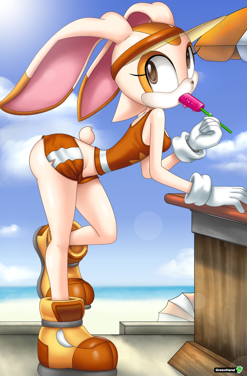 brown_eyes cream_the_rabbit female greenhand lagomorph mobian popsicle rabbit solo sonic_(series) tail