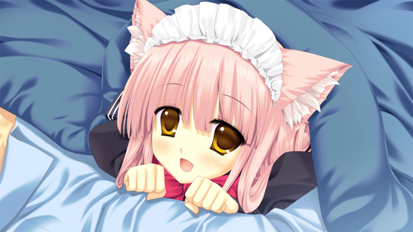 animal_ears bed catgirl close game_cg miyasu_risa nanakase_gizmo nekonade_distortion yellow_eyes