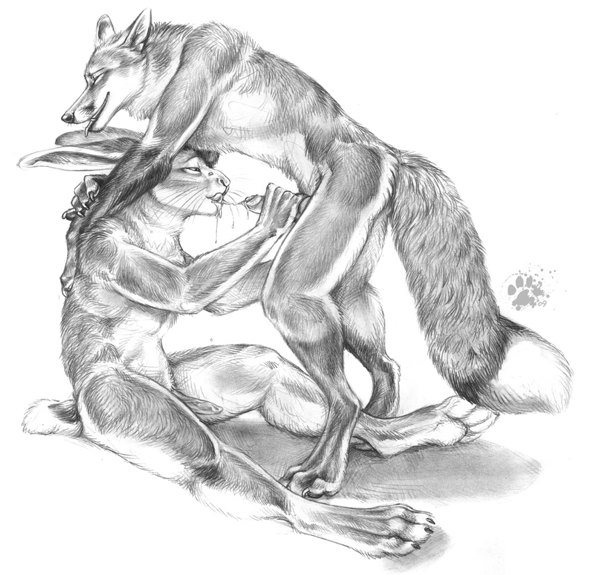 after_sex blotch canine canine_penis cum fox gay handjob lagomorph male masturbation oral rabbit sketch