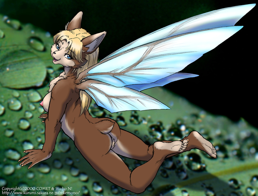 breasts butt canine cute dr_comet fairy female nude photo_background pussy side_boob solo wings