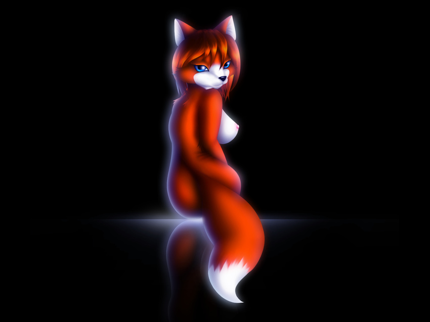 back black breasts canine female fox looking_at_viewer looking_over_shoulder nude red side_boob sitting solo turning wallpaper whitmaverick