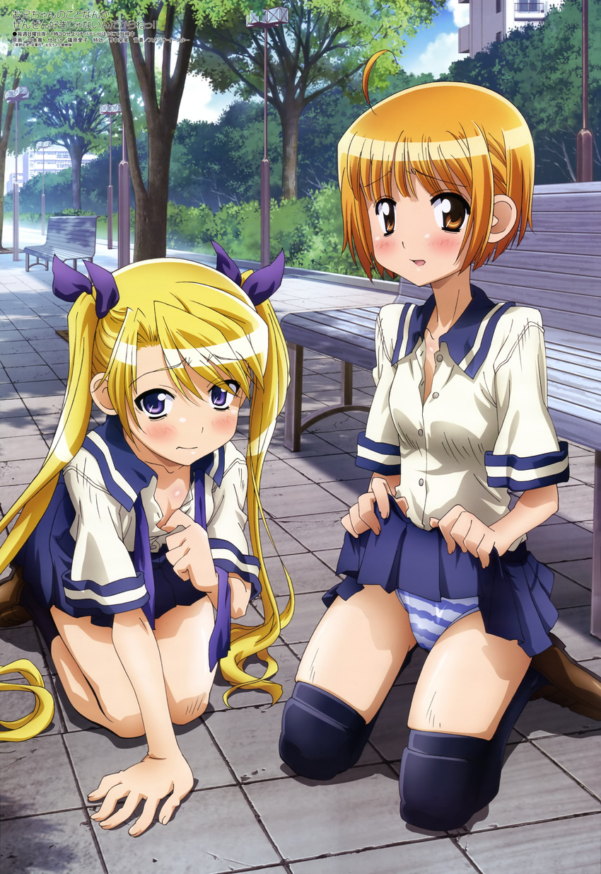 absurdres ahoge bench black_legwear blonde_hair day highres kneeling long_hair megami multiple_girls non-web_source official_art oniichan_no_koto_nanka_zenzen_suki_janain_dakara_ne!! orange_eyes orange_hair outdoors panties park_bench purple_eyes school_uniform serafuku short_hair skindentation skirt skirt_lift socks striped striped_panties takanashi_nao thighhighs tsuchiura_iroha twintails underwear very_long_hair yamamoto_atsushi