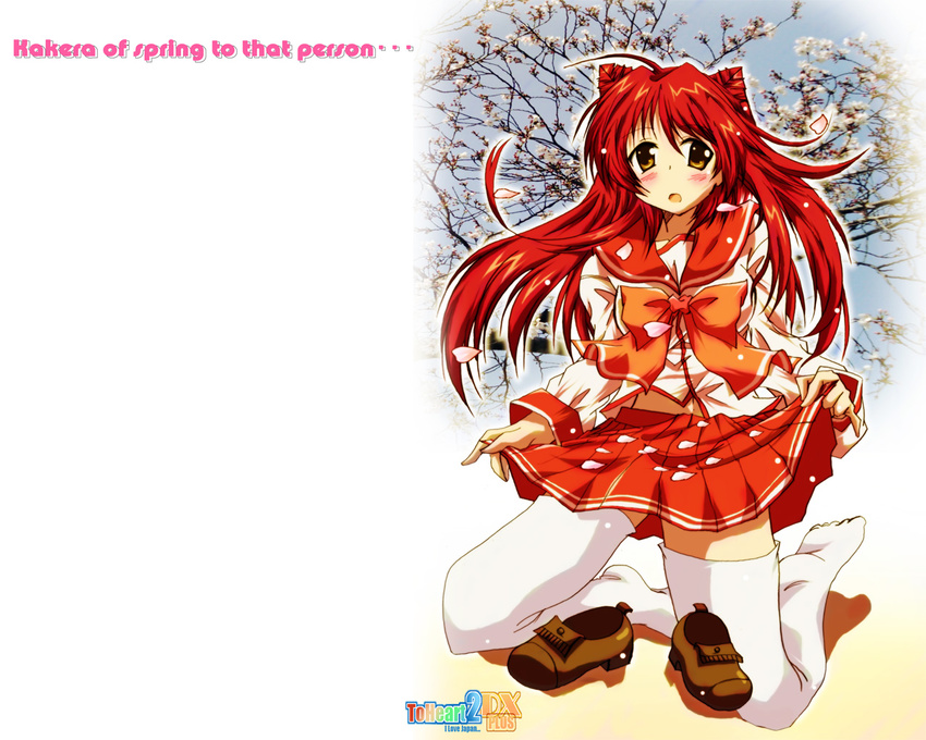 blush cherry_blossoms kneeling kousaka_tamaki school_uniform solo tamaki_(diarie_inaiinaibaa) thighhighs to_heart_2 twintails zettai_ryouiki