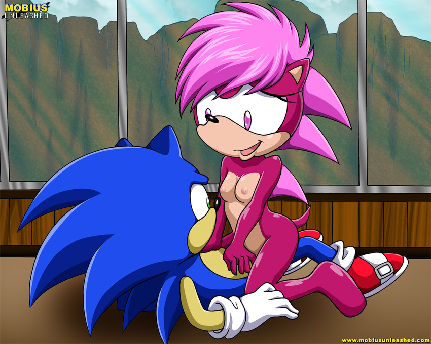 breasts female hedgehog incest looking_at_each_other male mobian mobius_unleashed riding sega sex siblings sonia_the_hedgehog sonic_(series) sonic_the_hedgehog straight
