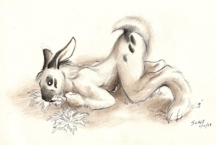 2009 alessio_scalerandi ass_up eating female grass lagomorph nude on_front rabbit raised_tail sketch solo tail