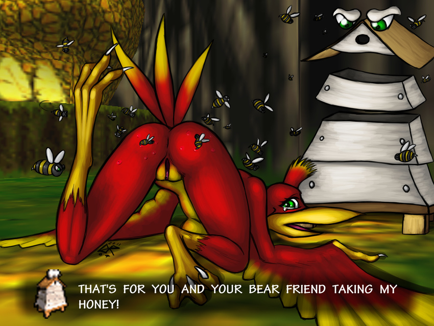 avian banjo-kazooie bee bee_sting bird breasts butt female hi_res kazooie ldr pussy solo sting video_games