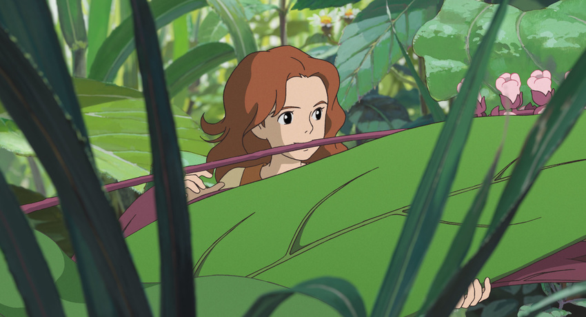 arrietty ghibli karigurashi_no_arrietty tagme