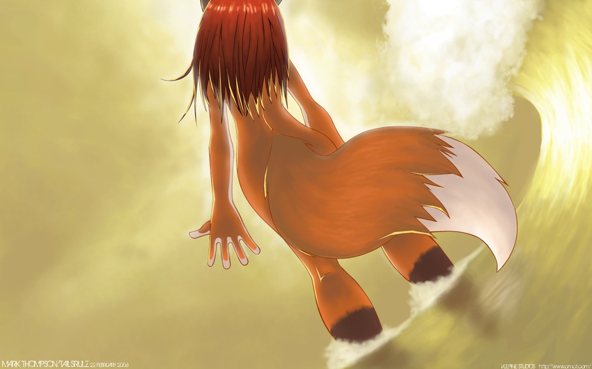 1440x900 2008 back butt canine female fox nude solo standing summer sun tailsrulz valencia wallpaper water wave wide_hips widescreen