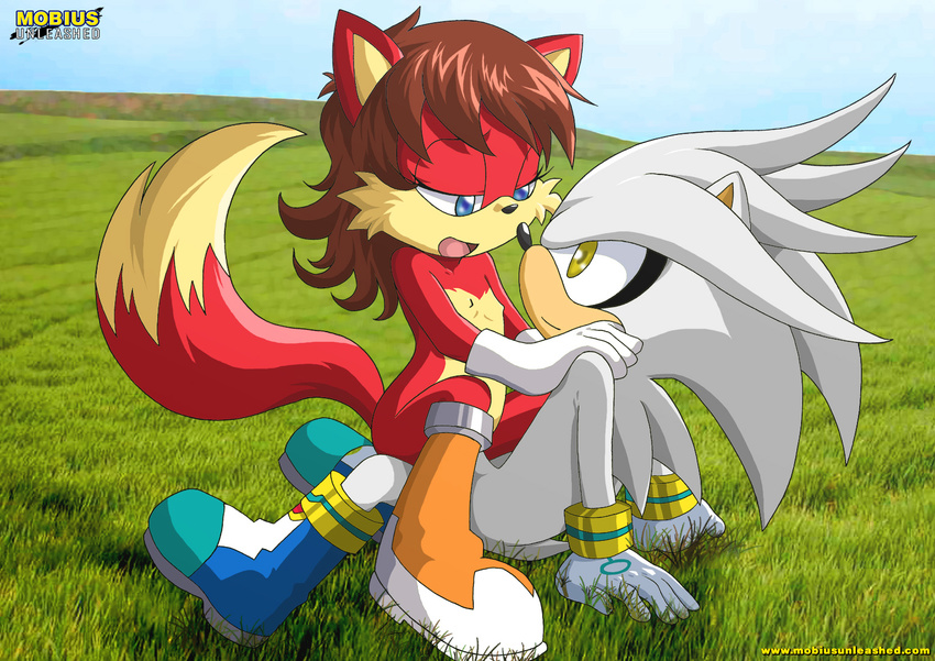 canine female fiona_fox fox hedgehog looking_at_each_other male mobian mobius_unleashed outside riding sega sex silver_the_hedgehog sonic_(series) straight