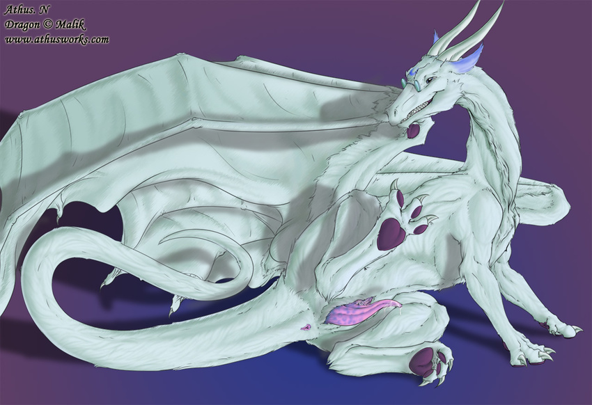 anus athus dragon feral glass herm intersex nude penis scalie solo white wings