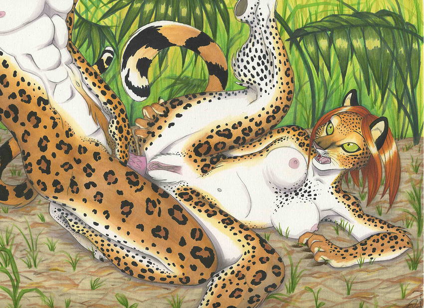 anal_penetration anthro barbs breasts duo feline female green_eyes leopard lying malachi male mammal missionary_position nipples on_back penetration penis pussy sex straight