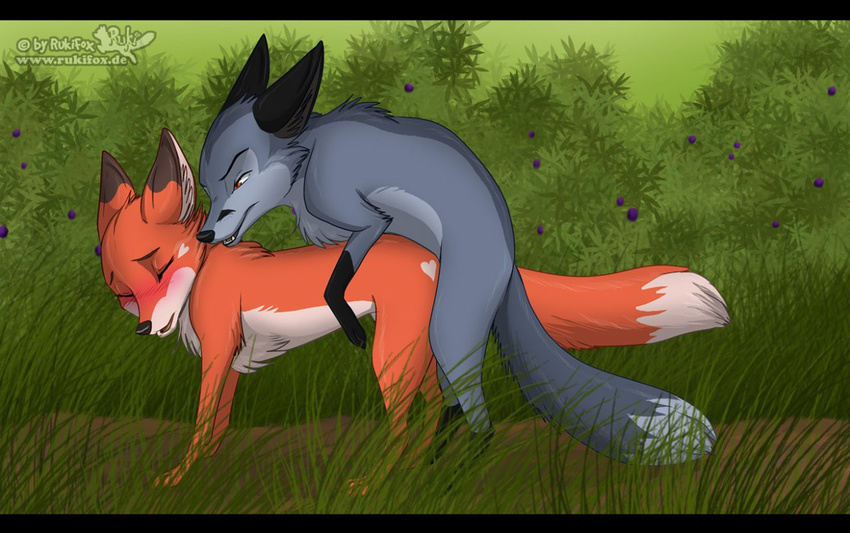all_fours blush canine doggy_position doggystyle eyes_closed female feral feral_on_feral fox from_behind male mammal non-anthro outside ruki rukifox sex straight the_animals_of_farthing_wood vixen