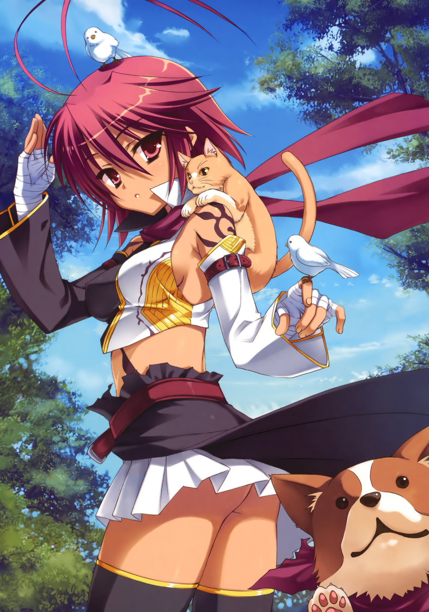 absurdres antenna_hair ass bandages bird black_legwear breasts cat day detached_sleeves dog highres koihime_musou looking_back medium_breasts midriff miniskirt muririn non-web_source pink_eyes pink_hair ryofu short_hair sideboob skirt sky solo thighhighs zettai_ryouiki