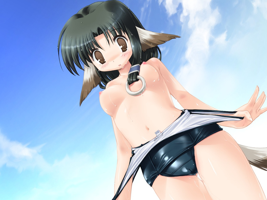 animal_ears black_hair breasts brown_eyes camel_toe eruru female hair hentai inumimi kemonomimi long_black_hair long_hair ponytail solo standing swimsuit tail topless undressing unknown_artist utawarerumono wet