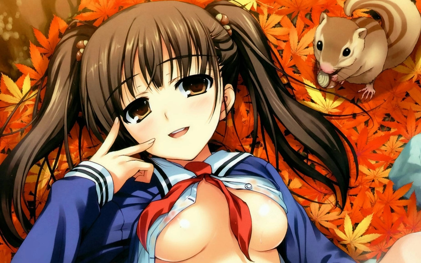 breasts brown_eyes brown_hair nipples seifuku tomose_shunsaku twintails