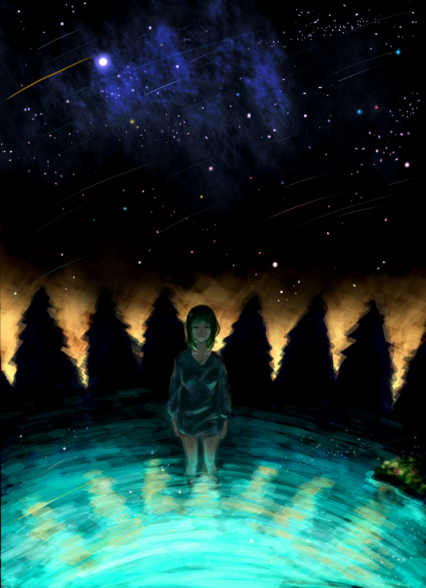 absurdres bad_id bad_pixiv_id bottomless comet expressionless green_eyes green_hair gumi hagehiro highres night no_pants pale_skin scenery solo standing star_(sky) sweater tree vocaloid water