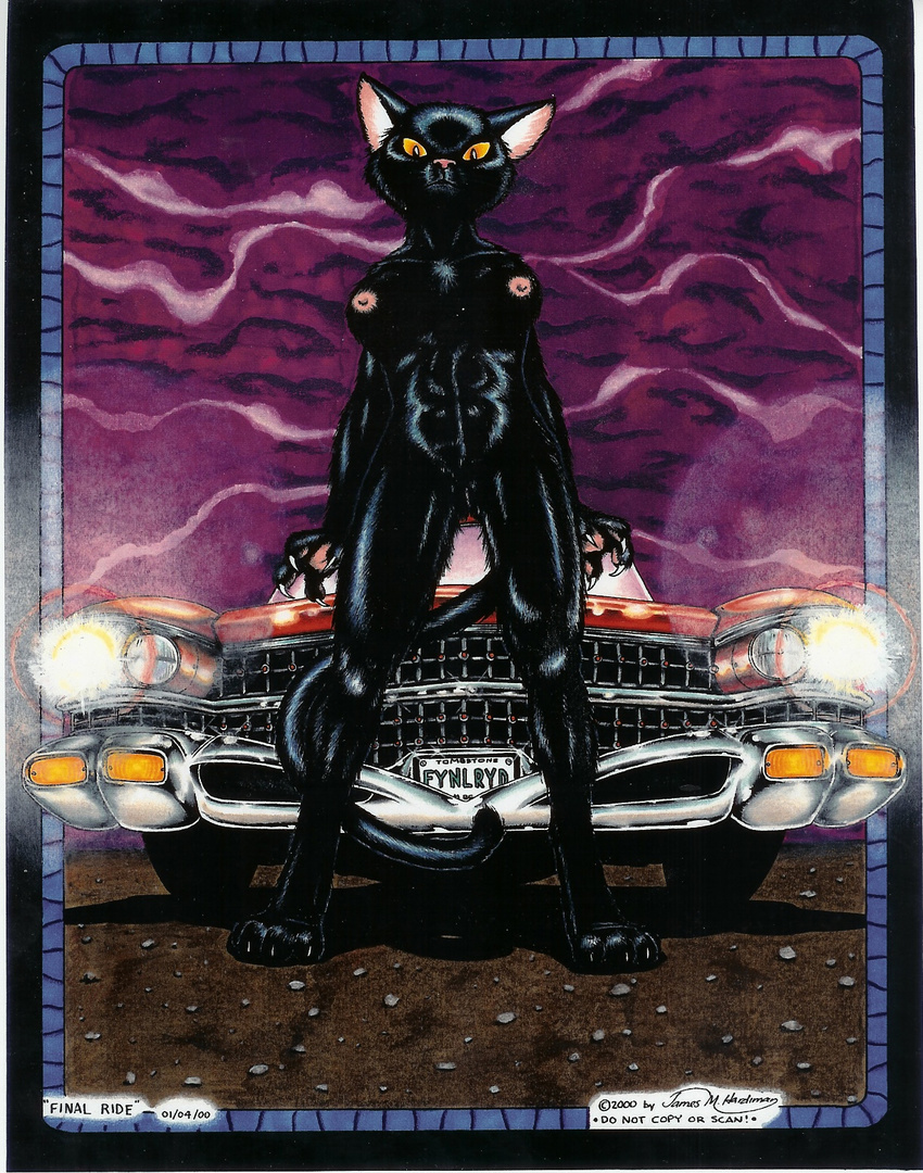 black_cat breasts car cat claws feline female hearse hot_pussy implied_impending_snuff james_m_hardiman looking_at_viewer mammal nude pussy raven_(jmh) solo standing