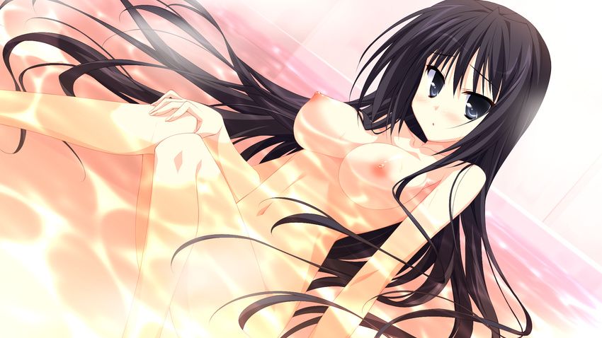 bath black_hair breasts game_cg hinata_mutsuki izumi_kyouka long_hair nipples nude skyfish water yotsuiro_passionato!