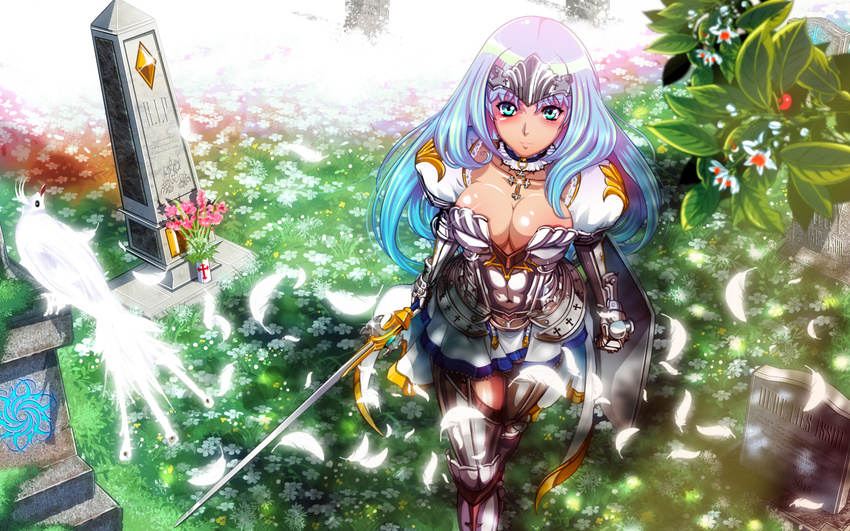 annelotte armor queen's_blade sword tagme weapon