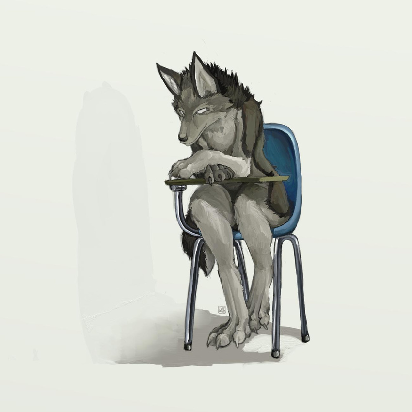 canine desk pira solo student wolf