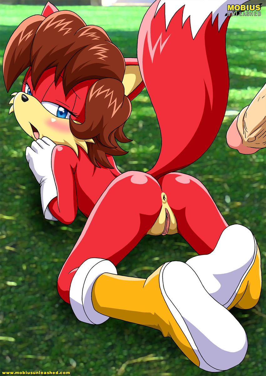 anus butt female fiona_fox mobius_unleashed penis pussy raised_tail sonic_(series) tail vixen