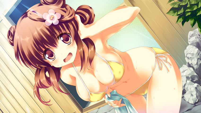 bikini blush brown_eyes brown_hair cleavage game_cg hoshi_no_ouji-kun purin_amanatsu qp:flapper swimsuit