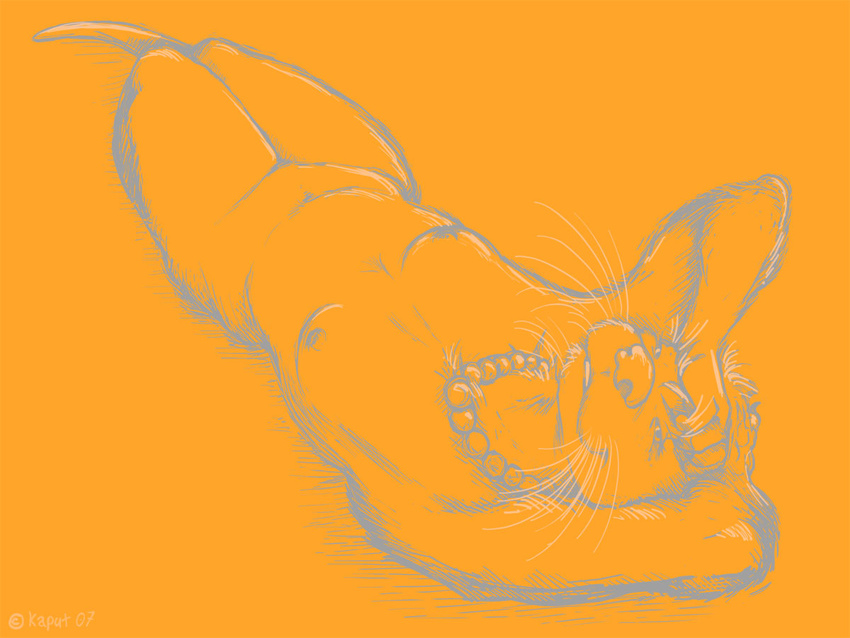 female kaput_otter looking_at_viewer nude on_back orange otter pinup pose restricted_palette sketch solo whiskers yellow