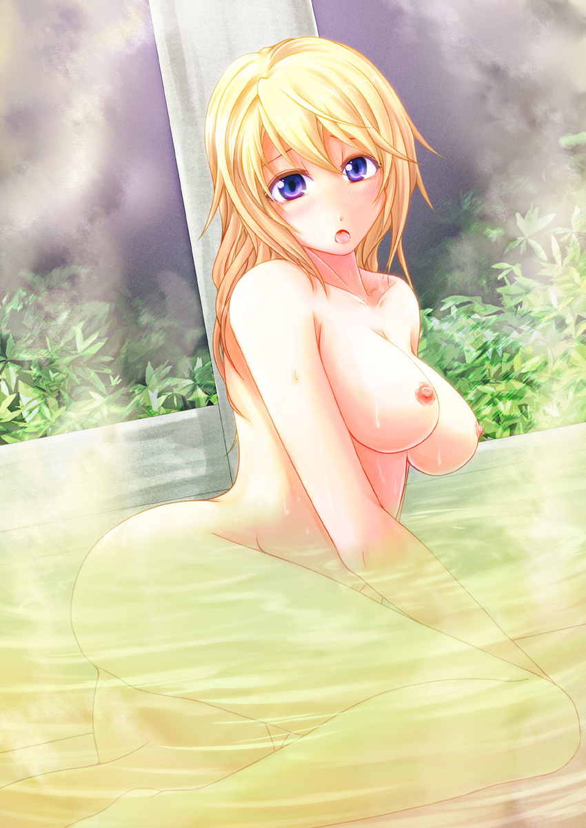 blonde_hair blush breasts charlotte_dunois highres infinite_stratos jyun large_breasts long_hair nipples nude purple_eyes solo