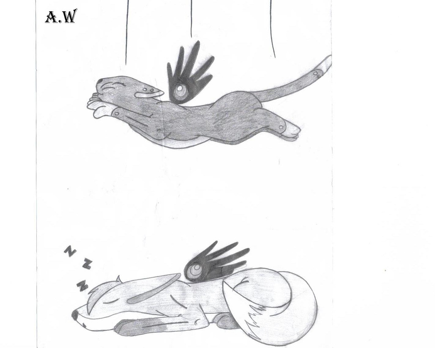 cat drawn falling feline feral fox funny humor ivxx_chimera_xxvi mammal mates plain_background sleeping unknown_artist white_background