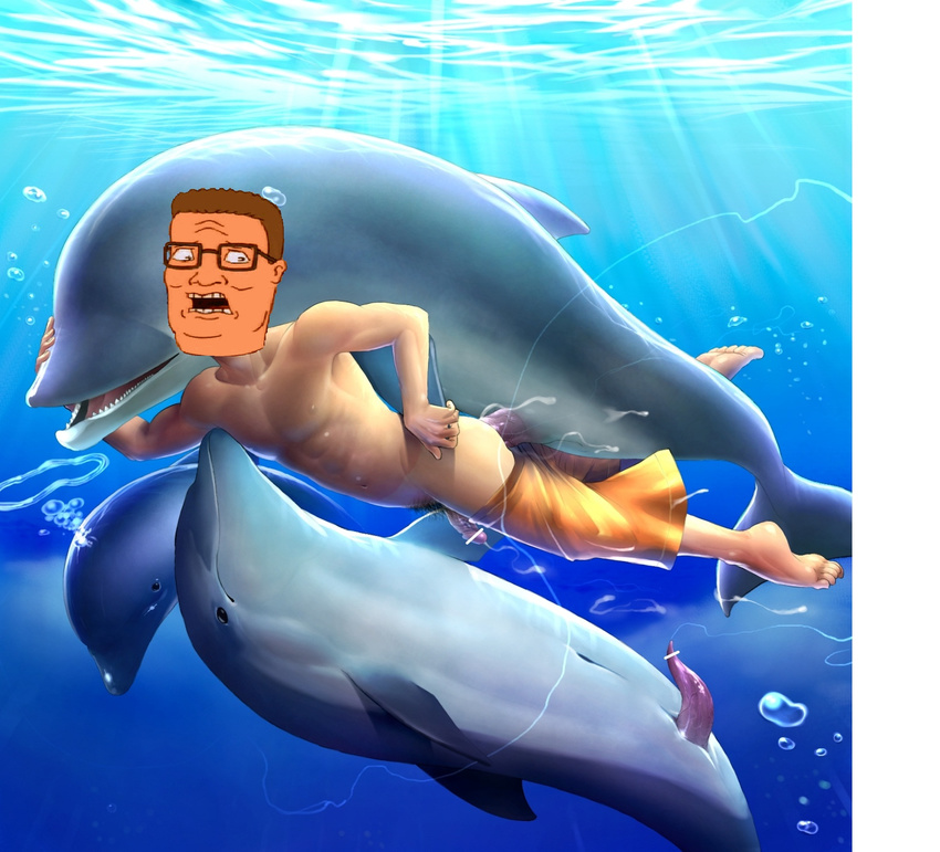 dolphin hank_hill king_of_the_hill mentaiko tagme