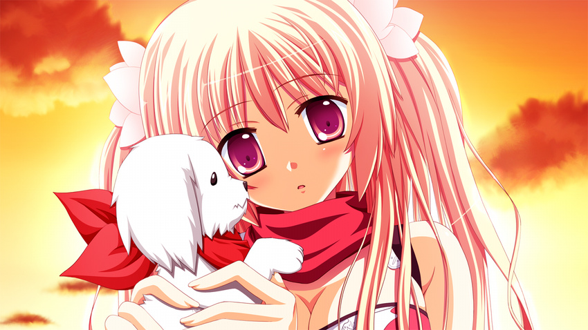 animal cleavage close dog fortissimo//akkord:bsusvier game_cg ooba_kagerou pink_eyes pink_hair sakura_(fortissimo)