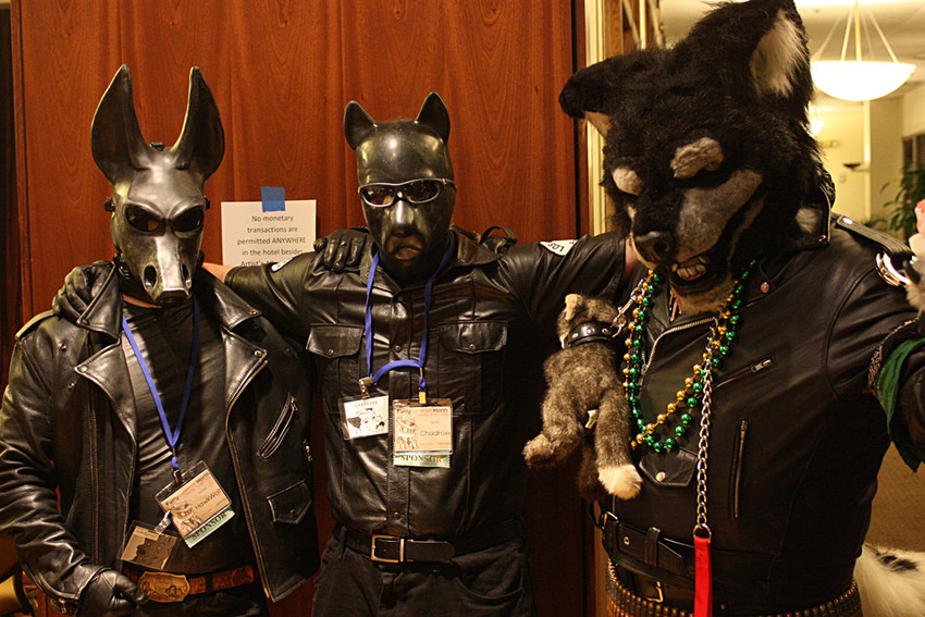 canine dog gas_mask hawkwolf human jackal leather male photo real rubber sunglasses what wolf