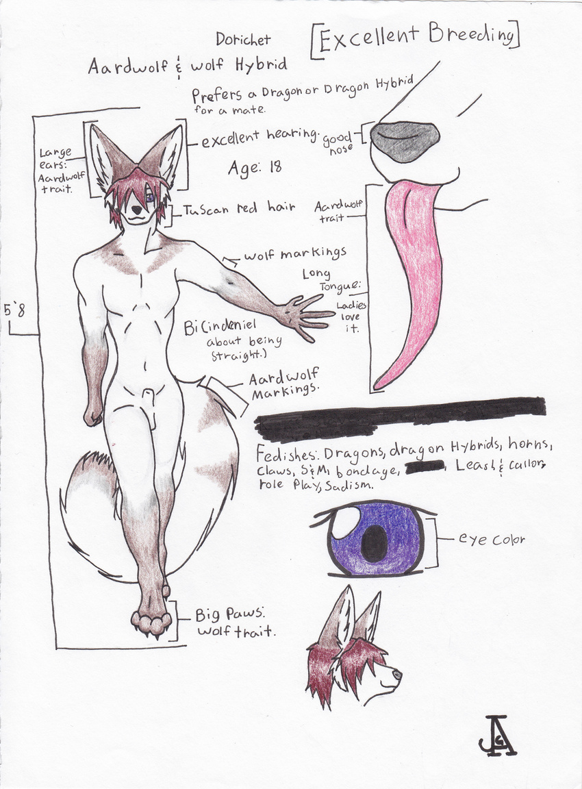 aardwolf canine dorochet hi_res hybrid jag male model_sheet nude sheath solo tongue wolf