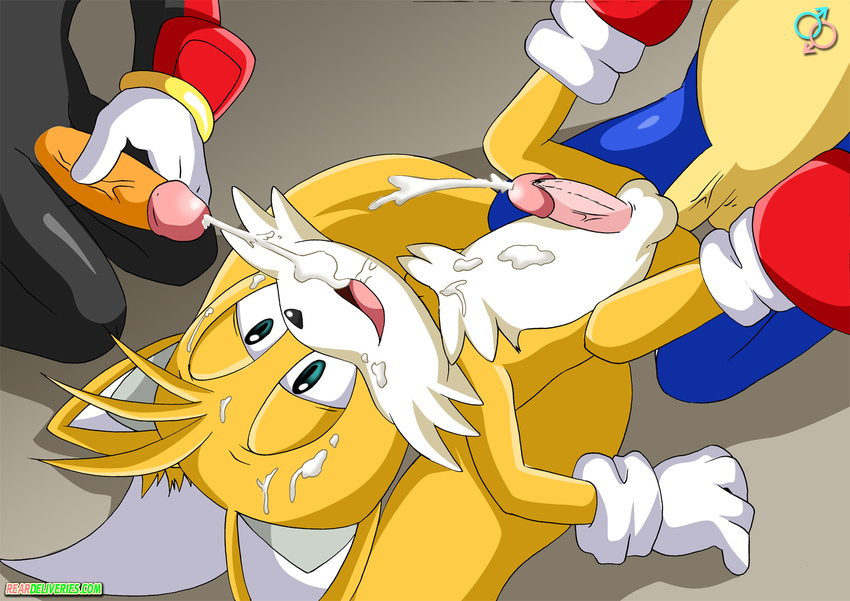 anal anal_penetration canine cum cum_in_mouth cumshot facial fox gay hands-free hedgehog male masturbation miles_prower mobian orgasm penetration penis rear_deliveries shadow_the_hedgehog sonic_(series) sonic_the_hedgehog threesome