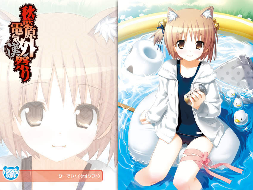 animal_ears brown_eyes brown_hair hiide nekomiya_nono school_swimsuit swimsuit yotsunoha