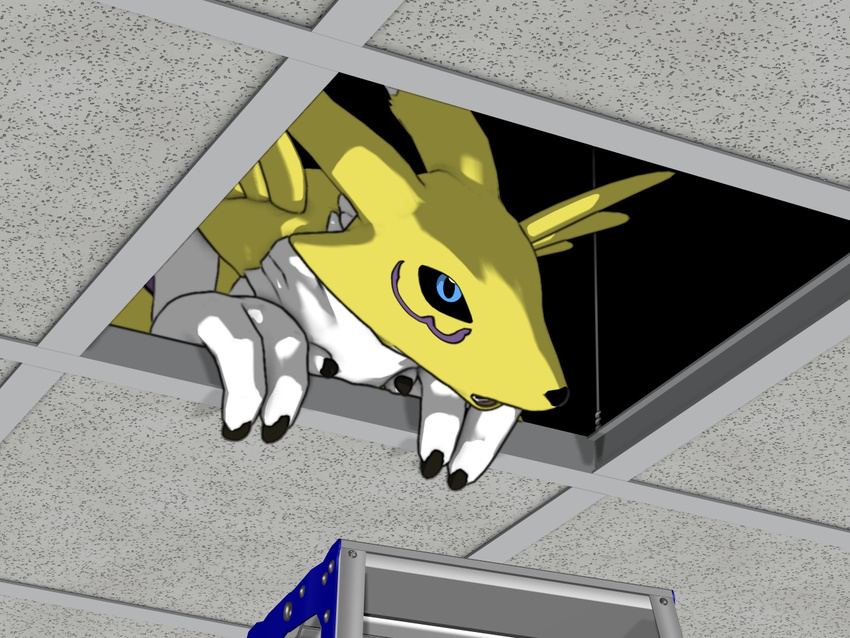 canine ceiling ceiling_renamon crawlspace digimon fox ladder little_dragon renamon suspended_ceiling