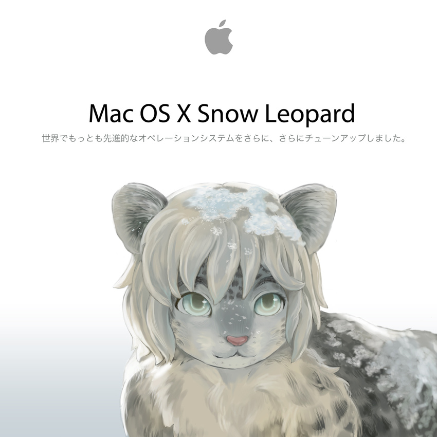 apple cute eixin feline flame_bait green_eyes grey leopard mac_os_x snow snow_leopard white