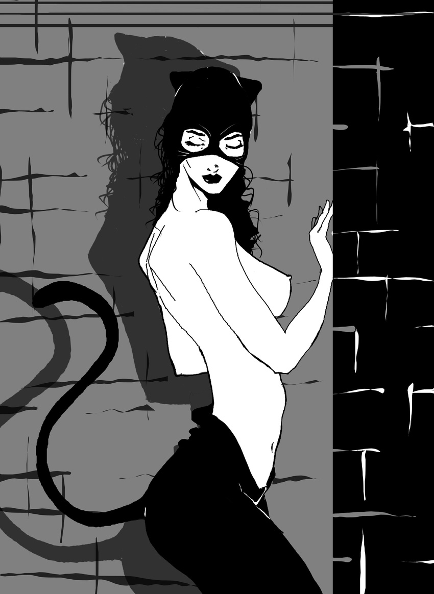 batman catwoman dc tagme
