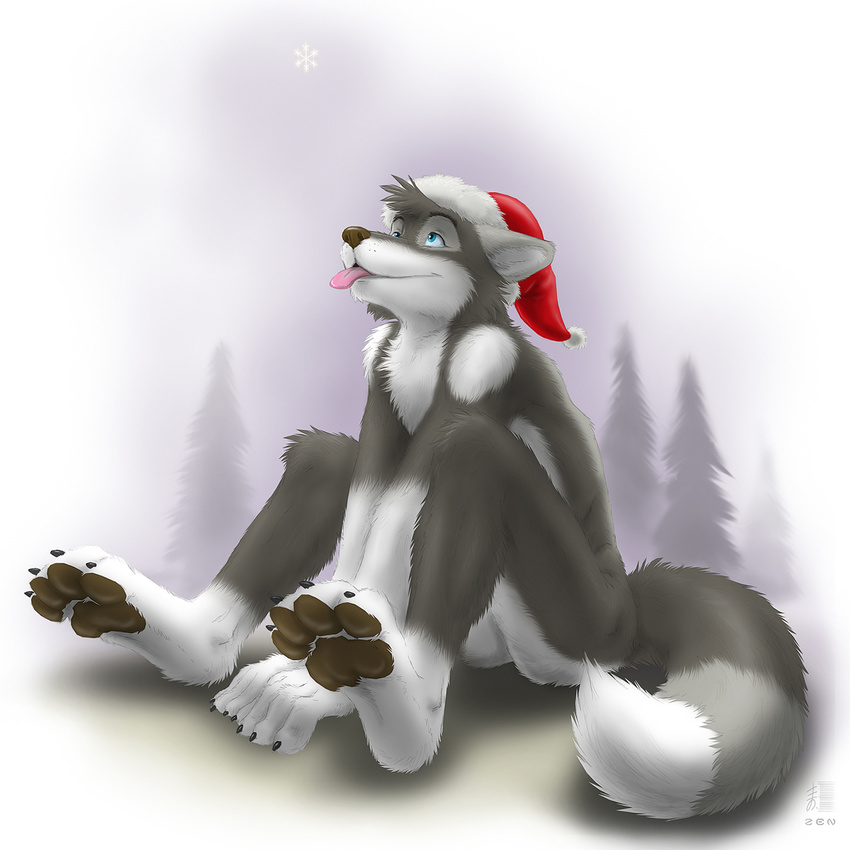 blue_eyes canine chest_tuft dog forest male pawpads snow solo tail tongue tree xmas_hat zen