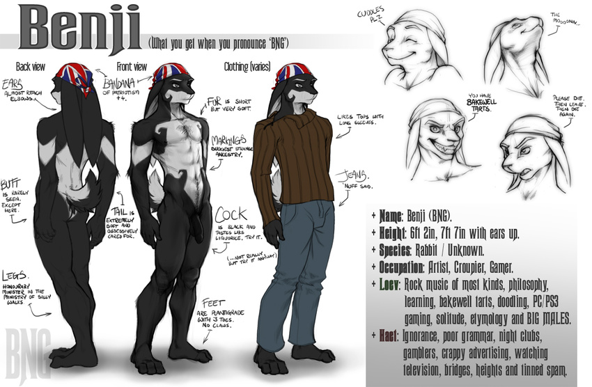benji bng butt lagomorph male model_sheet nude poor_choice_of_typeface rabbit solo