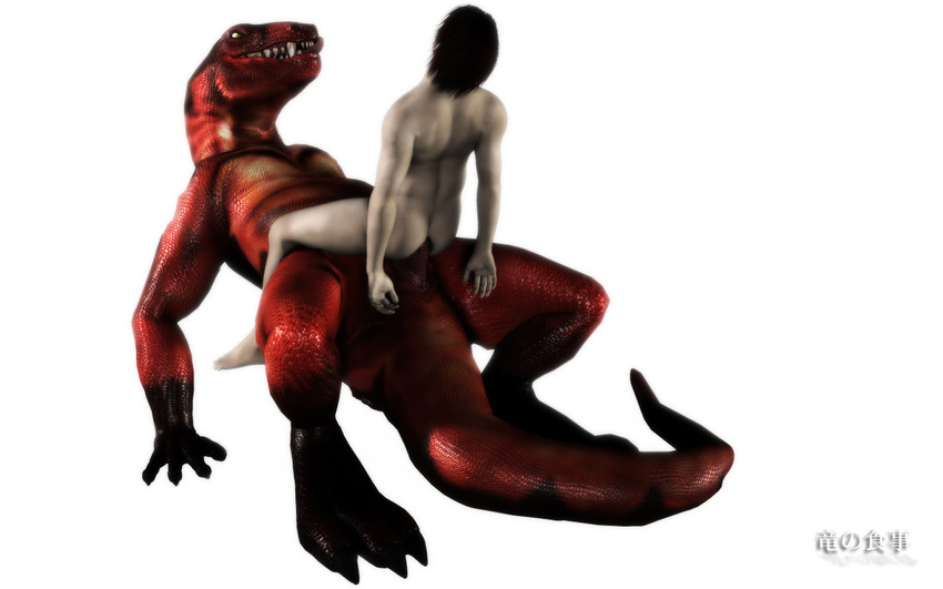 anthro bestiality death_by_snoo_snoo derp dinosaur dragon dragonfood feral forced gay human human_on_anthro interspecies male mammal penis rape rape_face raptor scalie sex size_difference