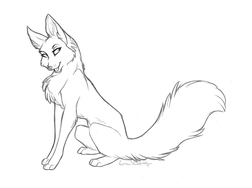 canine cute female feral fox luna-v sketch solo