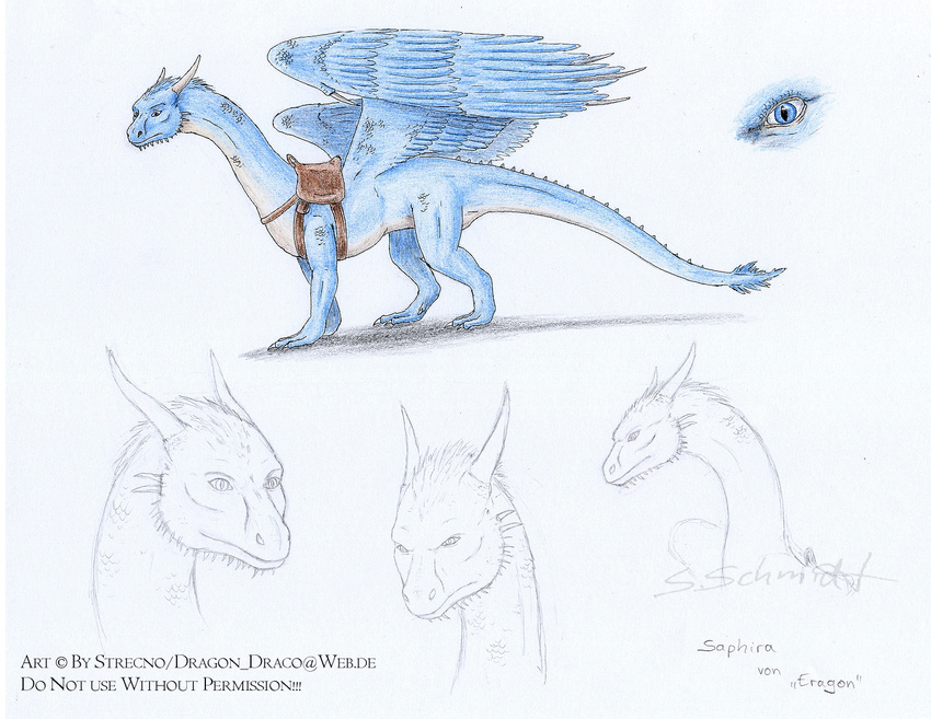 dragon eragon female feral model_sheet saddle saphira scalie solo strecno wings