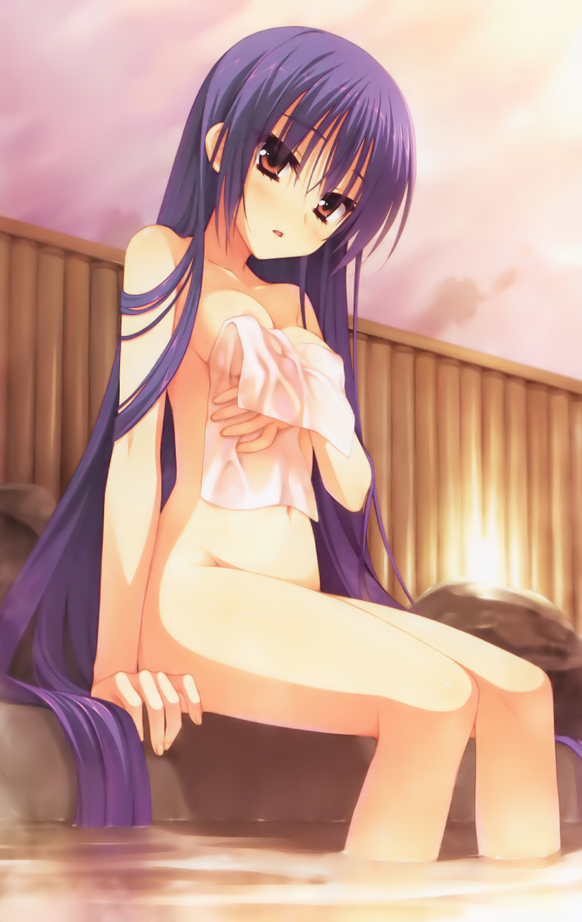 blush breasts brown_eyes cleavage covering covering_breasts highres long_hair looking_at_viewer muririn nagamitsu_maya noble_works nude nude_cover purple_hair sitting small_breasts soaking_feet solo towel tsurime very_long_hair water
