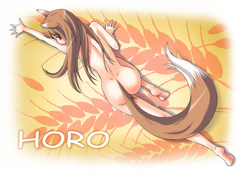 all_fours animal_ears brown_hair canine female hair hentai horo long_brown_hair long_hair looking_at_viewer nude ookami_to_koushinryou ookamimimi red_eyes soft solo tail unknown_artist wolf wolfgirl