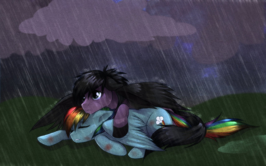 black_hair blood blue_eyes equine female feral friendship_is_magic hair horse mammal multi-colored_hair my_little_pony pegasus pony protective rain rainbow_dash_(mlp) rainbow_hair rizcifra sheltering skywind unknown_pony wallpaper widescreen wings wounded